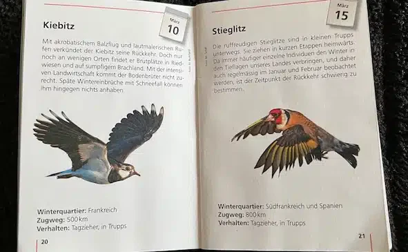 Ein Foto aus einem Heftchen der Vogelwarte Sempach, das zeigt, wann der Kiebitz und der Stieglitz wieder in die Schweiz zurückkommen.