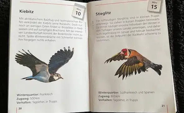 Ein Foto aus einem Heftchen der Vogelwarte Sempach, das zeigt, wann der Kiebitz und der Stieglitz wieder in die Schweiz zurückkommen.